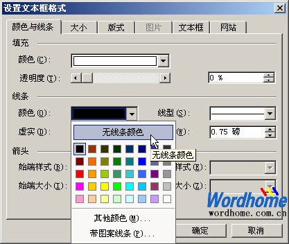 “颜色与线条”选项卡