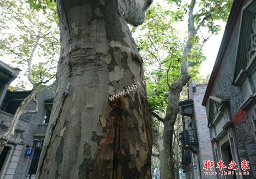 索尼Xperia XZ值得买吗？索尼Xperia XZ手机详细评测图解