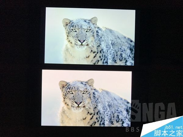 一加3T网友上手体验评测 2699元值得购买