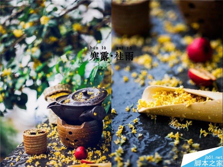 十二张图教你拍出生活之美 脚本之家 设计理论 1fb15827d91fa84a0e282b50a2ca.jpg