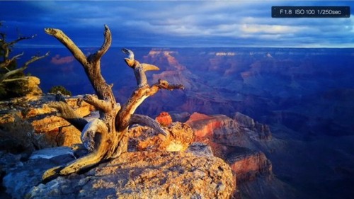 专业摄影师助阵 LG展示G4卓越的拍照实力