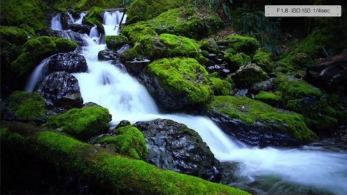 专业摄影师助阵 LG展示G4卓越的拍照实力