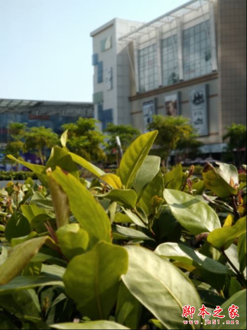 金立M2017拍照性能怎么样？金立M2017拍照功能上手体验评测图解