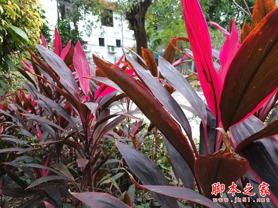 魅族PRO6Plus 128g版值得买吗？魅族PRO6Plus高配版全面深度评测图解