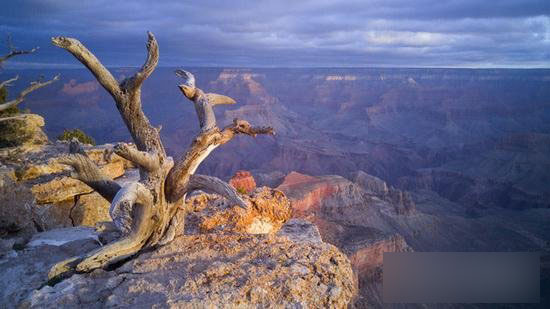 LG G4的主要亮点和缺点