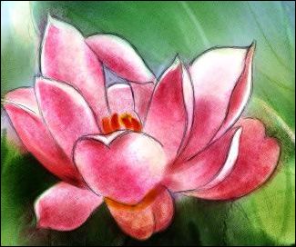 Painter教程:手绘荷花水彩画_脚本之家jb51.net网络转载 Painter教程:手绘荷花水彩画_脚本之家jb51.net网络转载