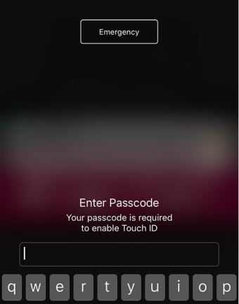  iPhone怎么快速禁用指纹解锁功能？