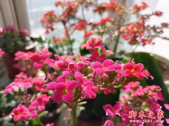 HTC U Ultra值得买吗？HTC U Ultra手机全面深度评测图解