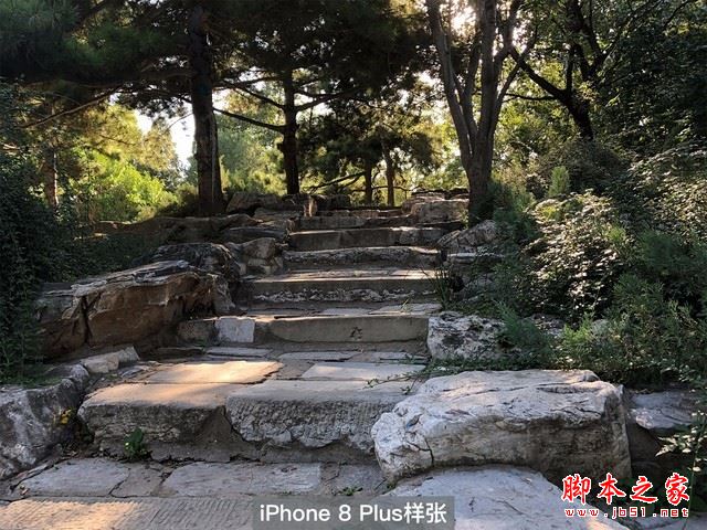 iPhone8plus和iPhone7plus哪个值得买？苹果iPhone7plus对比8plus全面深度评测