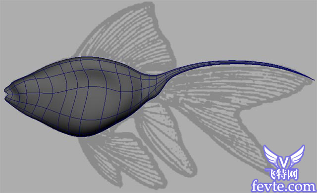 Maya 制作鱼的模型 脚本之家 MAYA入门教程