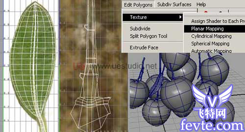 maya制做荔枝、MAX制作辣椒和瓶子、Combustion合成 脚本之家 MAYA入门教程