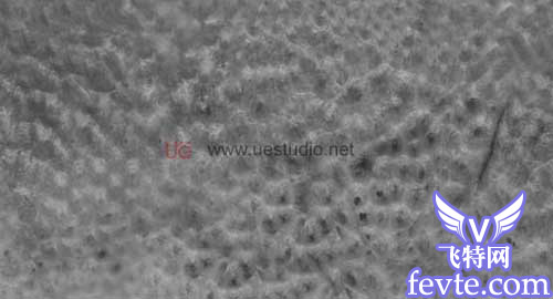 maya制做荔枝、MAX制作辣椒和瓶子、Combustion合成 脚本之家 MAYA入门教程