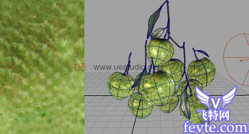maya制做荔枝、MAX制作辣椒和瓶子、Combustion合成 脚本之家 MAYA入门教程