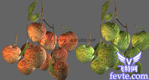 maya制做荔枝、MAX制作辣椒和瓶子、Combustion合成 脚本之家 MAYA入门教程