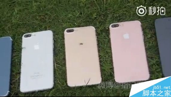 iPhone 7 Plus五个颜色齐曝光!新配色很亮眼