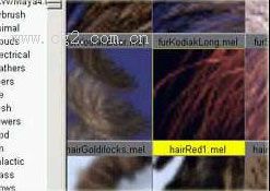 maya制作头发教程 脚本之家 MAYA入门教程