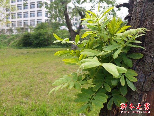 三星C5 Pro值得买吗？三星Galaxy C5 Pro全面深度评测图解