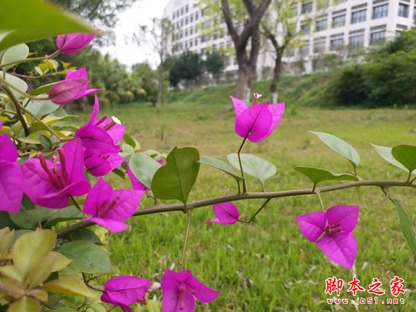 三星C5 Pro值得买吗？三星Galaxy C5 Pro全面深度评测图解