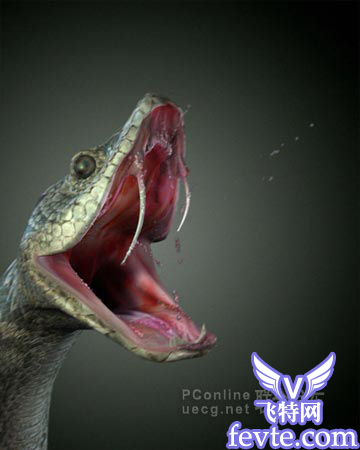 maya中真实大蟒蛇的塑造-建模篇 脚本之家 MAYA建模教程