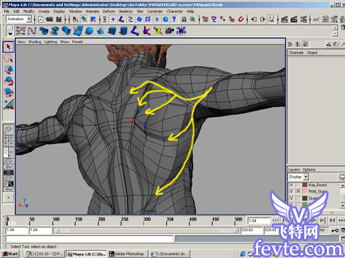 maya角色肌肉建模概念篇 脚本之家 MAYA建模教程