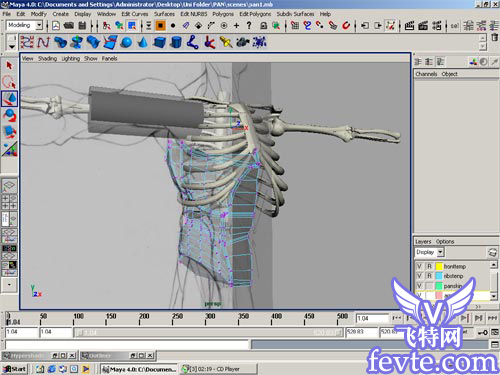 maya角色肌肉建模概念篇 脚本之家 MAYA建模教程