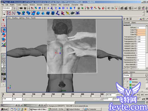 maya角色肌肉建模概念篇 脚本之家 MAYA建模教程