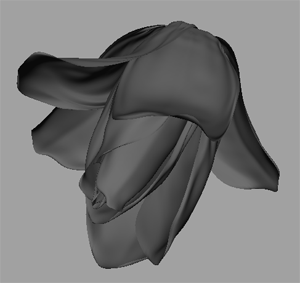 maya 花的建模 脚本之家 MAYA建模教程