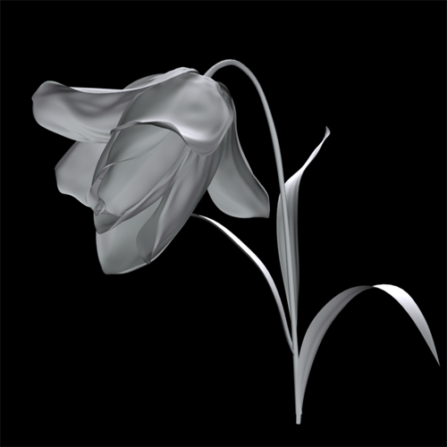 maya 花的建模 脚本之家 MAYA建模教程