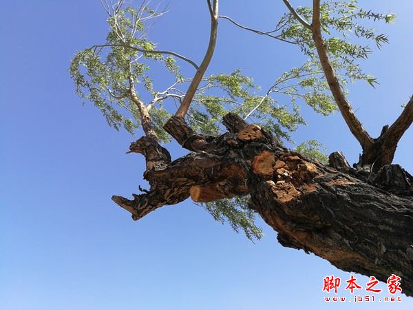 华为p10plus和三星S8哪个好？三星s8与华为P10plus拍照对比评测图解