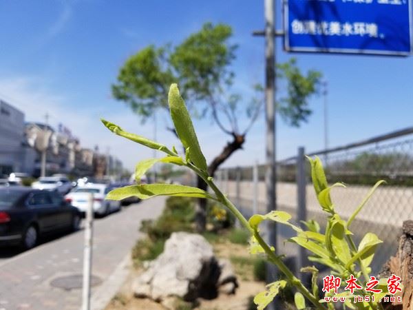 华为p10plus和三星S8哪个好？三星s8与华为P10plus拍照对比评测图解