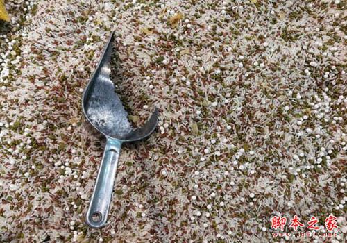 华为p10plus和三星S8哪个好？三星s8与华为P10plus拍照对比评测图解