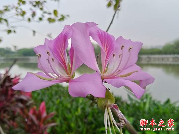 华硕鹰眼3值得买吗？华硕鹰眼3全面深度评测图解