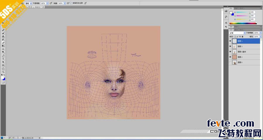 MAYA打造好莱坞巨星安吉丽娜朱莉 脚本之家 MAYA角色动画教程