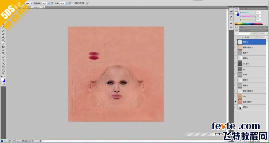 MAYA打造好莱坞巨星安吉丽娜朱莉 脚本之家 MAYA角色动画教程