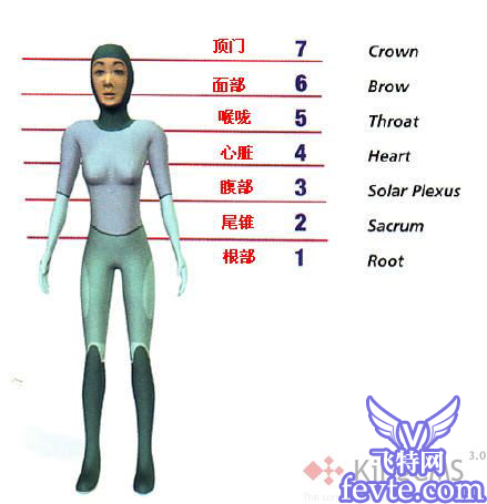 人格中心的动画理论 脚本之家 MAYA入门教程