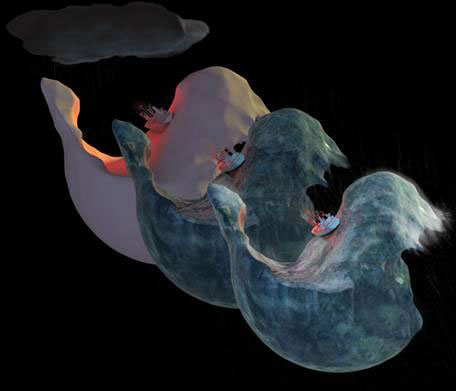 MAYA制作三维卡通女孩 脚本之家 MAYA建模教程