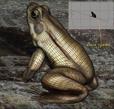 MAYA打造逼真青蛙 脚本之家 MAYA角色动画教程