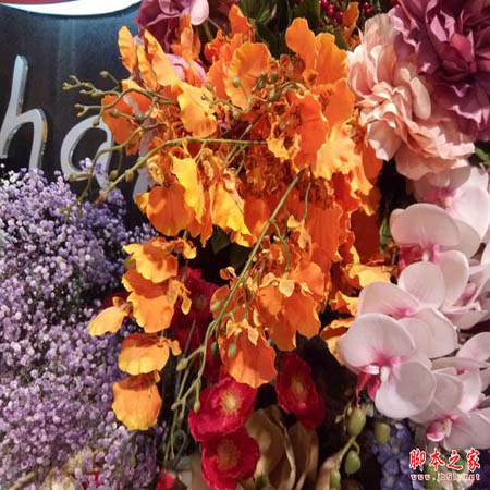 ivvi K5到底值得买吗？ivvi K5手机外观/性能/系统/拍照全面评测