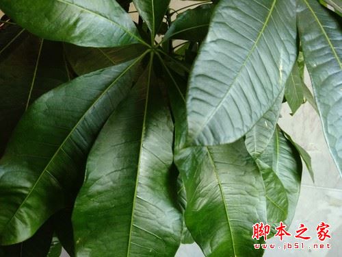 ivvi SK5怎么样？ivvi SK5手机全面详细评测图解