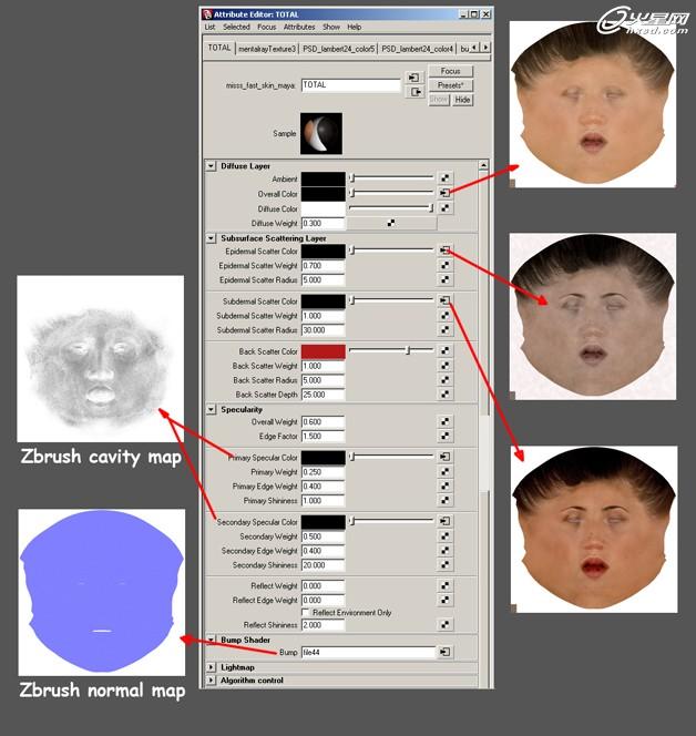 MAYA打造女孩肖像特写  脚本之家 MAYA角色动画教程