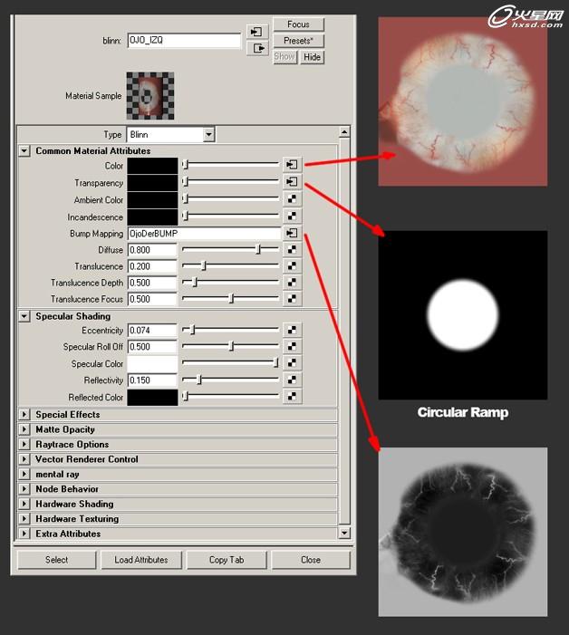 MAYA打造女孩肖像特写  脚本之家 MAYA角色动画教程
