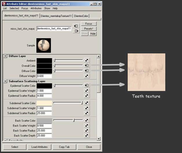 MAYA打造女孩肖像特写  脚本之家 MAYA角色动画教程