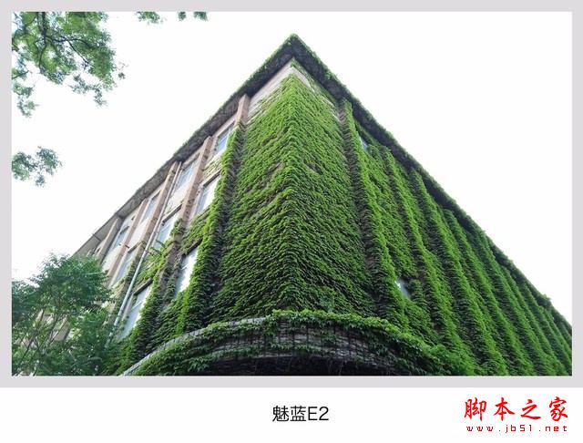 华为畅享7Plus/魅蓝E2/乐视Pro3对比：哪个像素相机拍照更好？