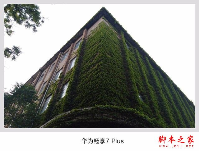 华为畅享7Plus/魅蓝E2/乐视Pro3对比：哪个像素相机拍照更好？