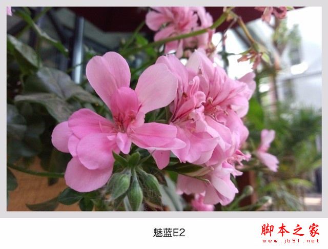 华为畅享7Plus/魅蓝E2/乐视Pro3对比：哪个像素相机拍照更好？