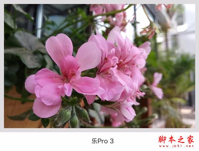 华为畅享7Plus/魅蓝E2/乐视Pro3对比：哪个像素相机拍照更好？