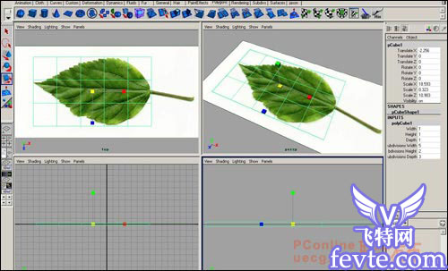 用maya制作逼真的树叶 脚本之家 MAYA建模教程
