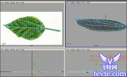 用maya制作逼真的树叶 脚本之家 MAYA建模教程