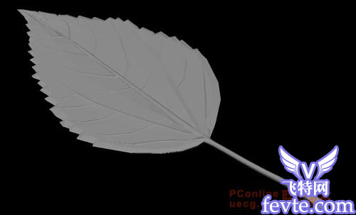 用maya制作逼真的树叶 脚本之家 MAYA建模教程