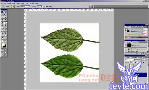 用maya制作逼真的树叶 脚本之家 MAYA建模教程